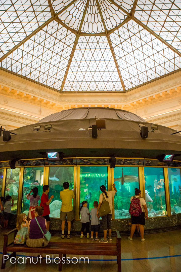 A photo of the domed room with an aquarium.