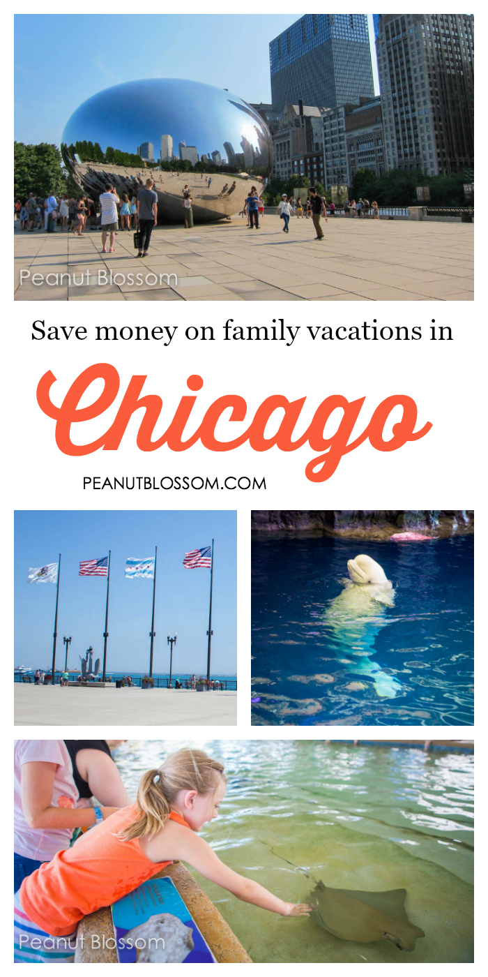 The photo collage shows a family visiting downtown Chicago.