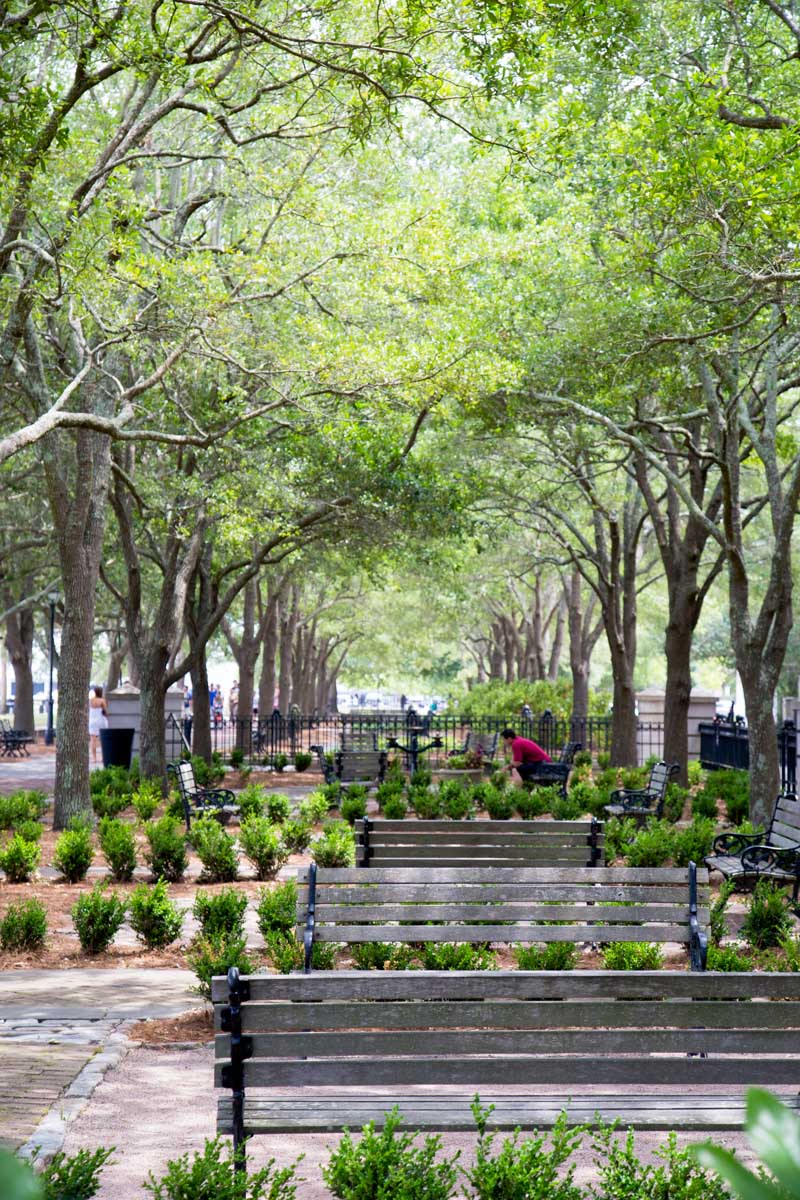 The Pineapple Fountain Gardens in Charleston, SC.