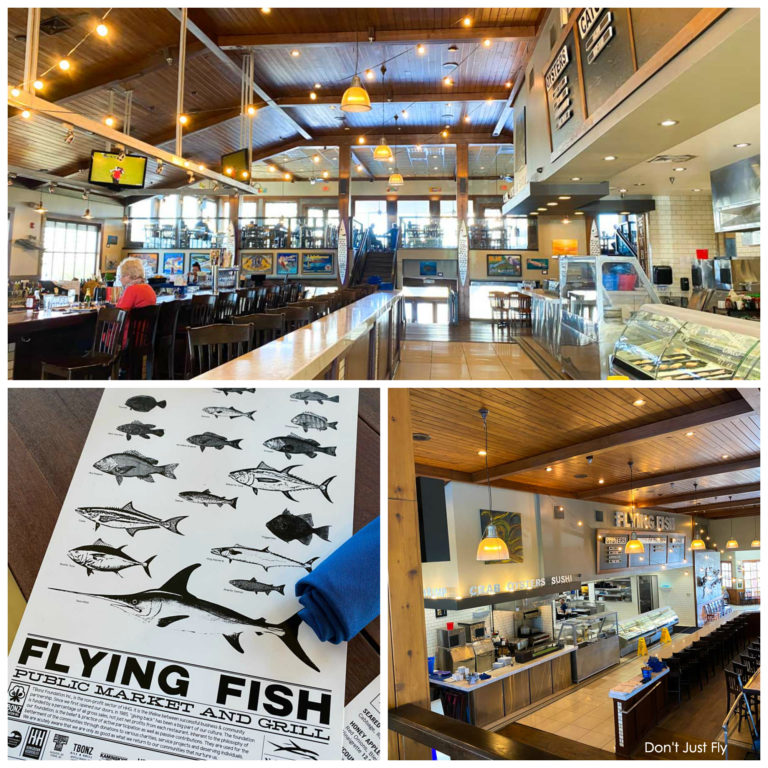 Flying Fish A Review Don't Just Fly