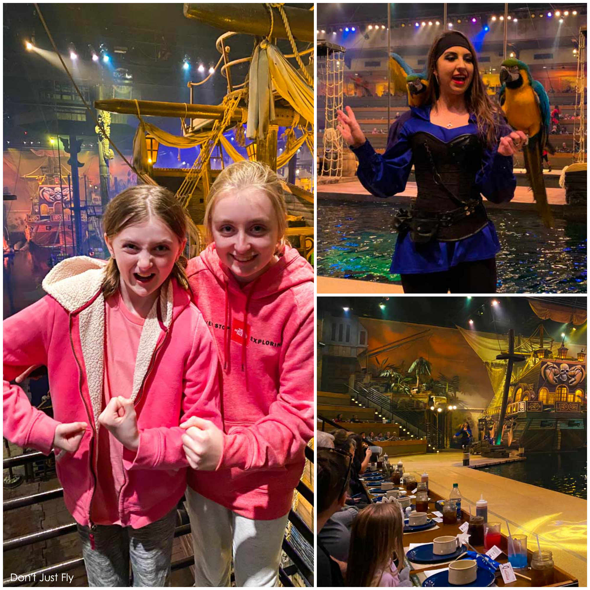 pirate voyage dinner show reviews