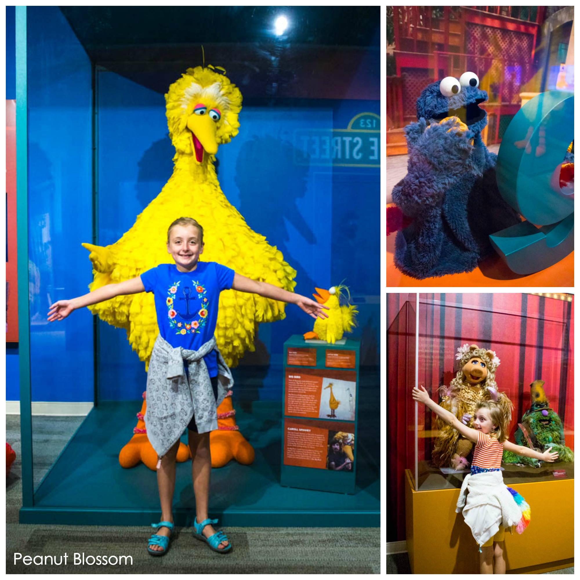 Jim Henson's Labyrinth Creatures Center for Puppetry Arts Don't