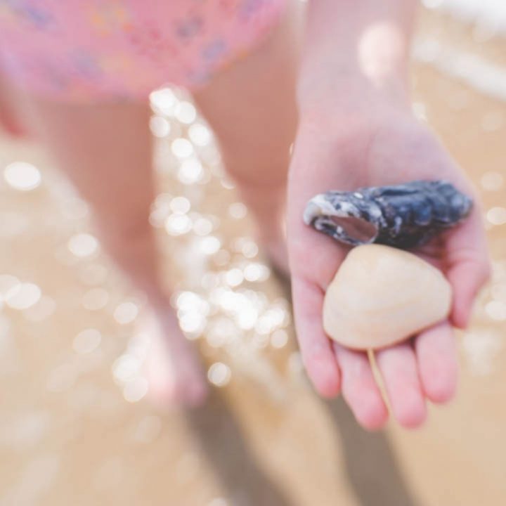 A young girl holds out shells she found on the beach during vacation.
