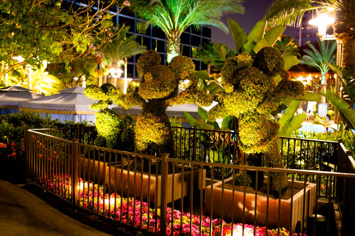 A scene at night with the topiaries all lit up.