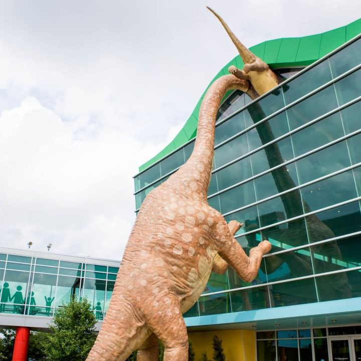 The dinosaurs outside of the Indianapolis Childrens Museum.