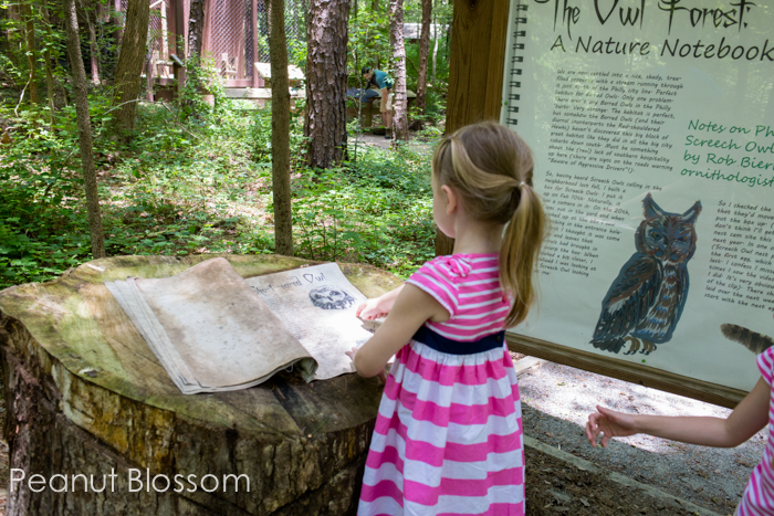A young girl reads a sign at the Carolina Raptor Center.