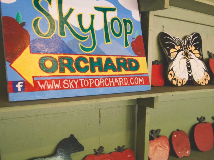 The SkyTop Orchard painted sign points towards the apple picking.