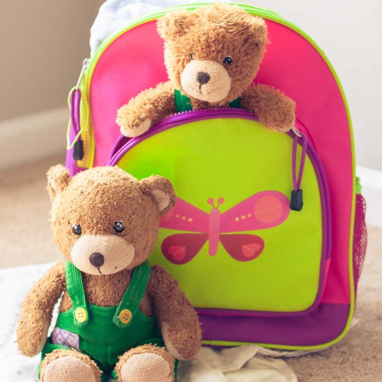 Traveling Lovies: Protecting Kids’ Toys on the Go