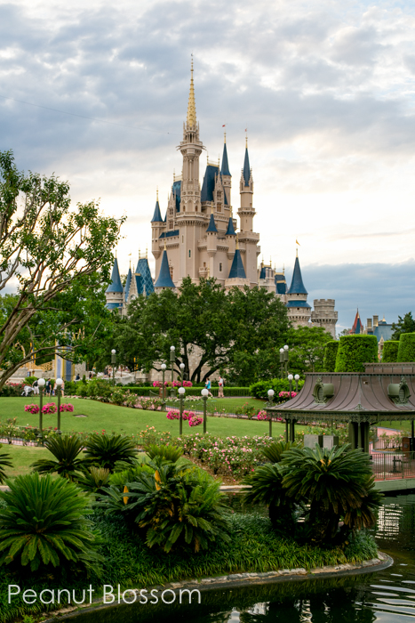 Renting camera gear for vacation | Peanut Blossom The Disney castle seen from across the water.