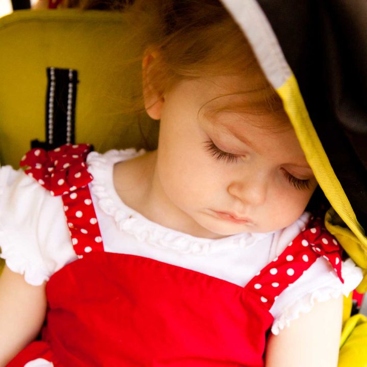 A toddler has passed out in her stroller at Disney World.