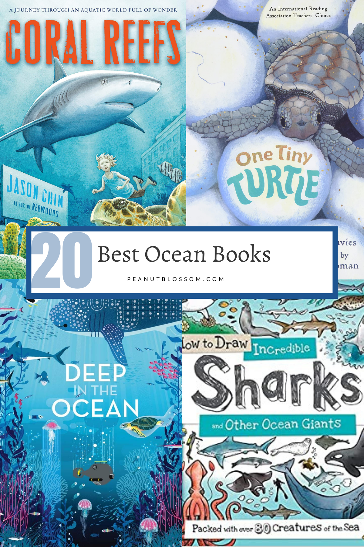 A collage of ocean books for Pinterest.