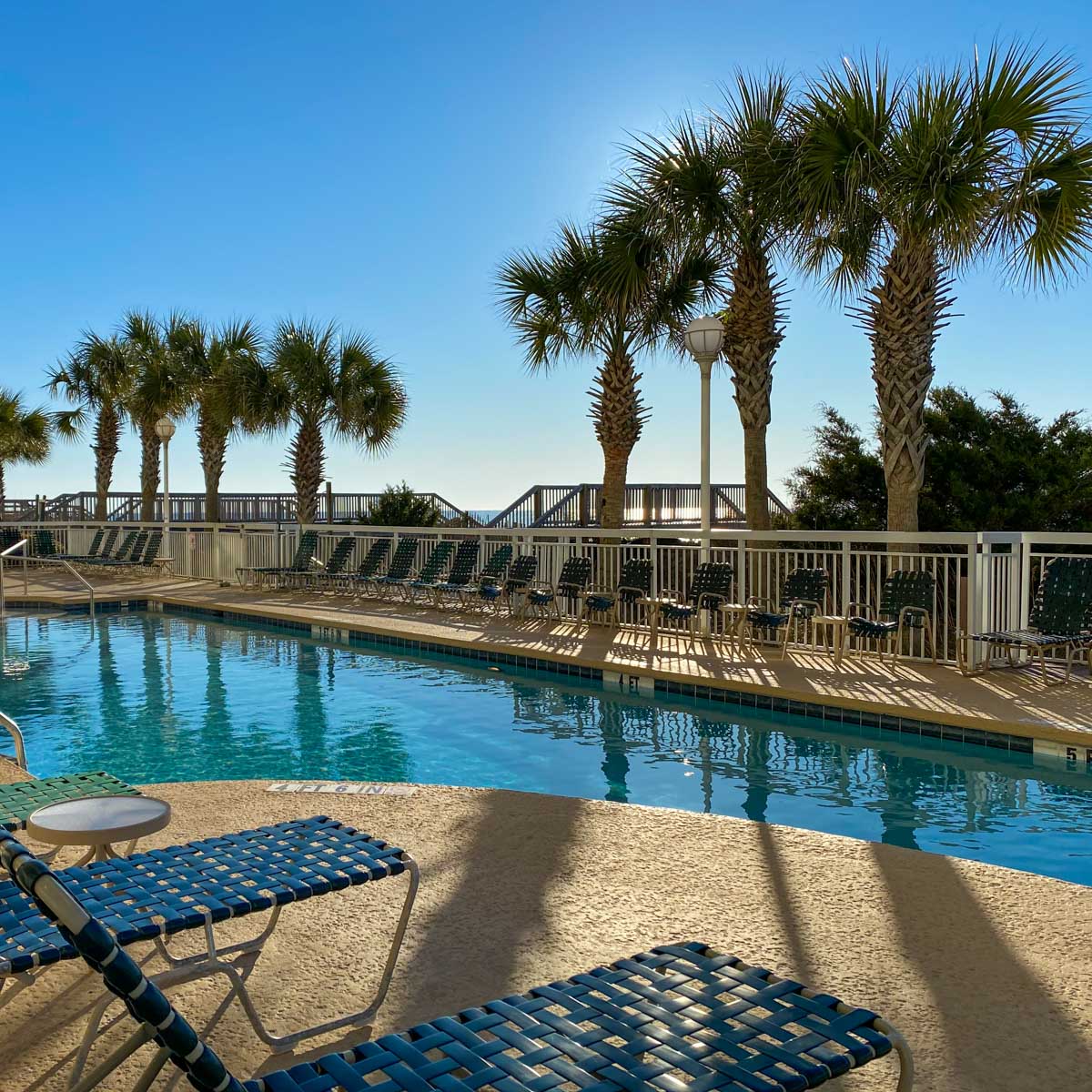 A condo pool is surrounded by palm trees.