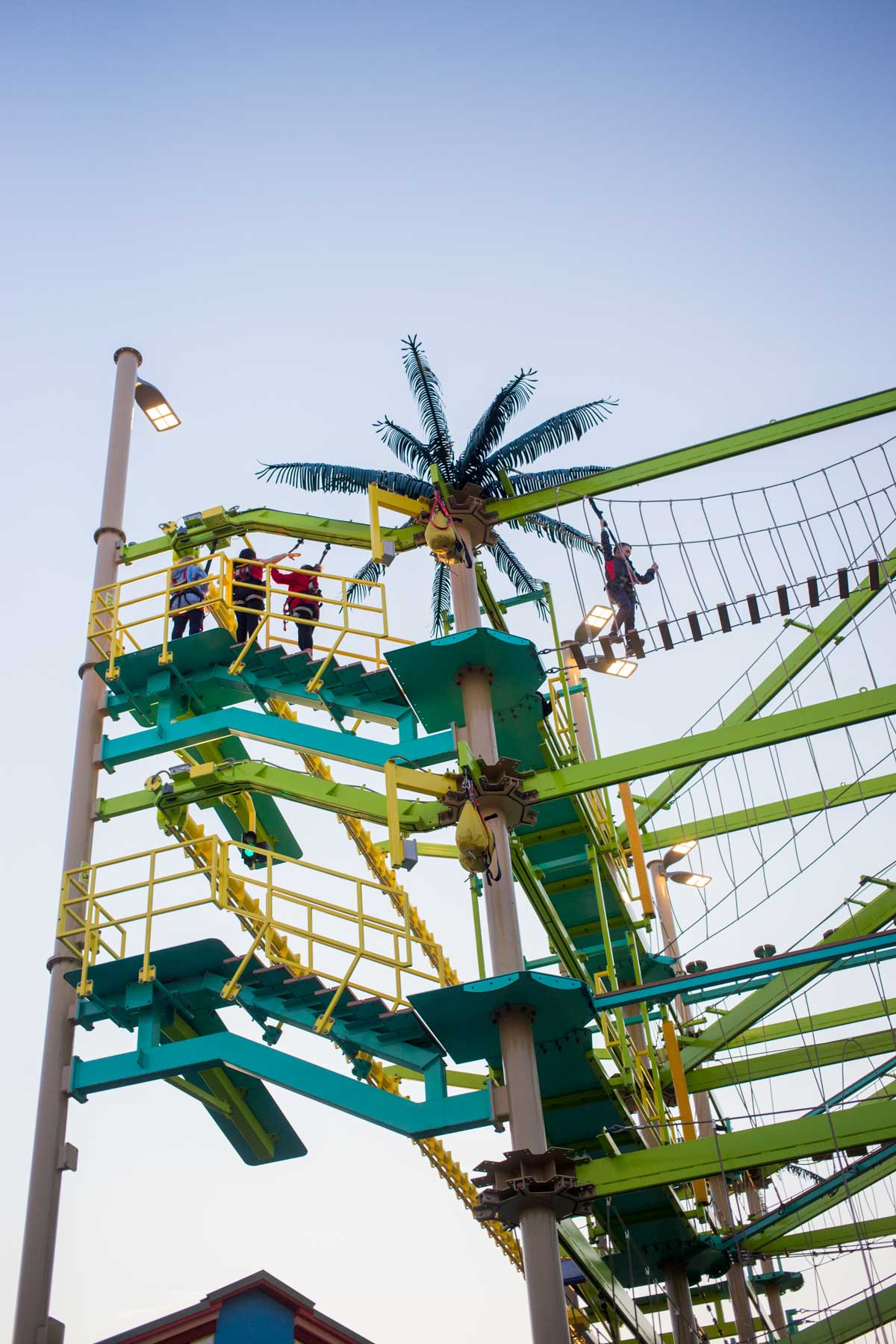 A fun tropical themed rope course with a palm tree on top.