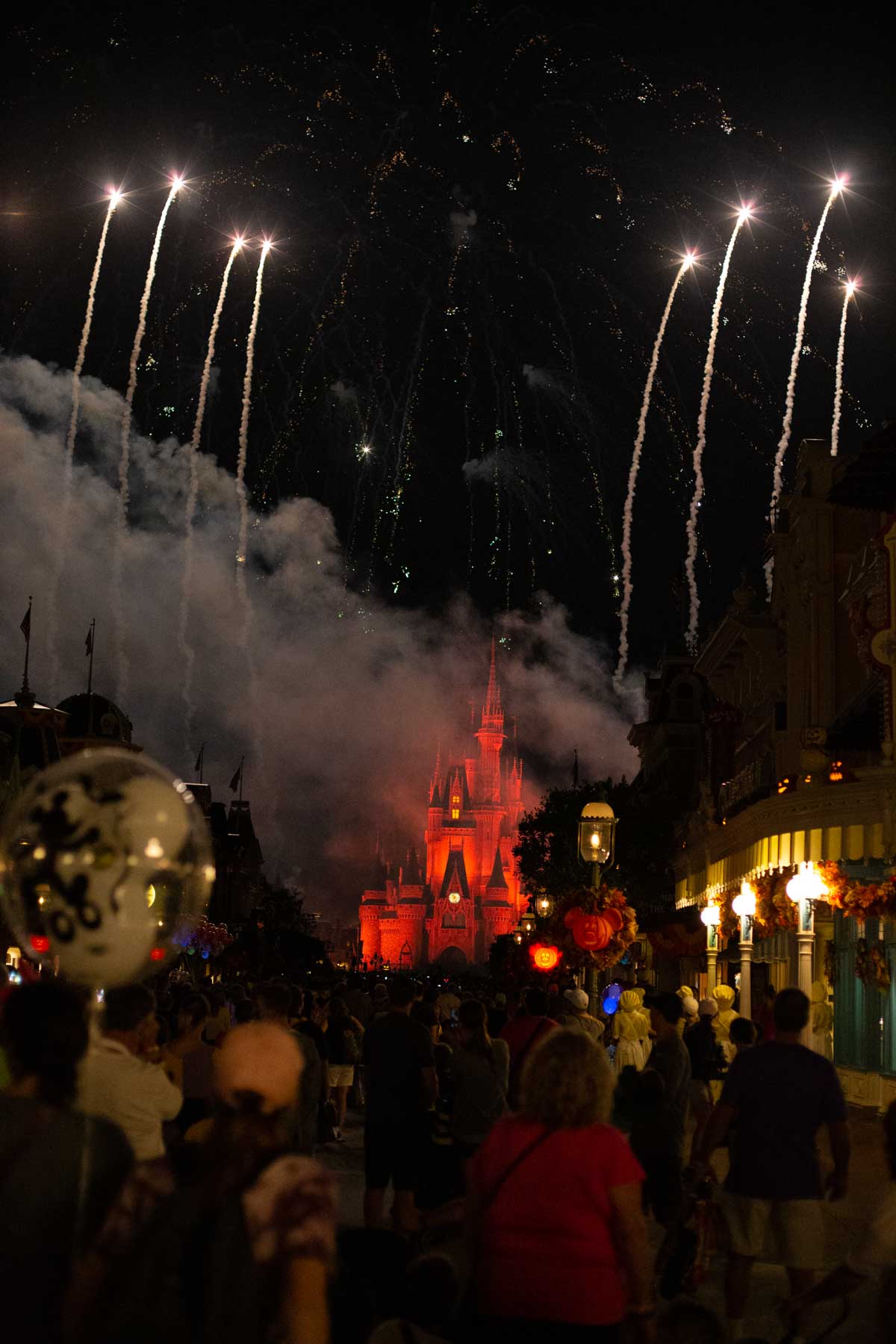 The fireworks above Cinderella's Castle can be seen from quite a distance.