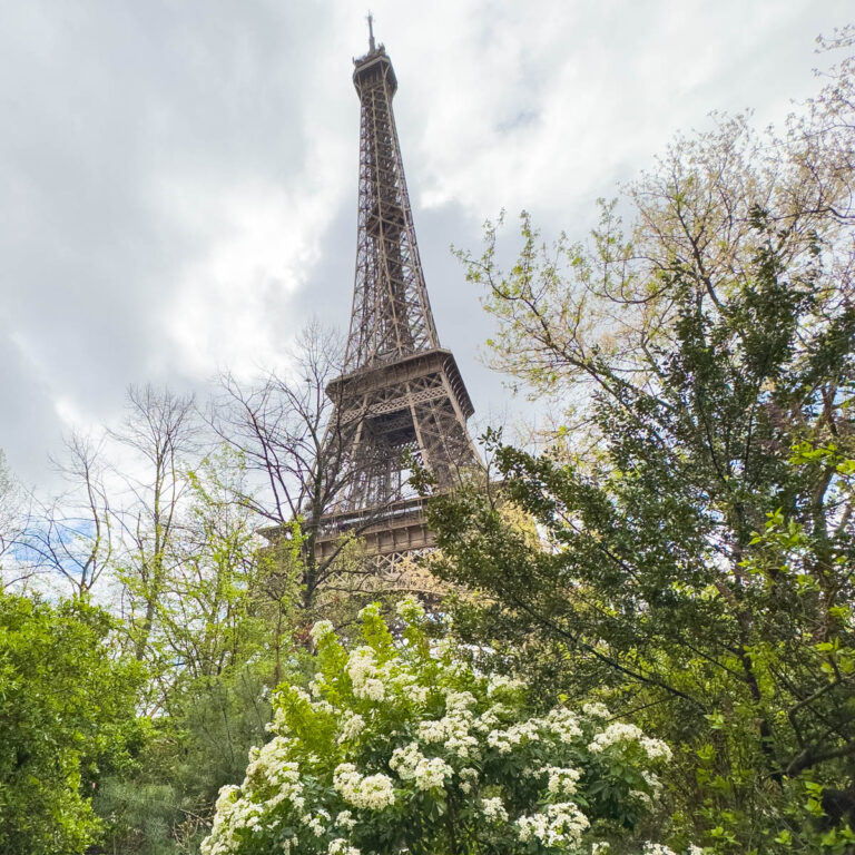Top 10 Tips for Visiting Paris for the First Time