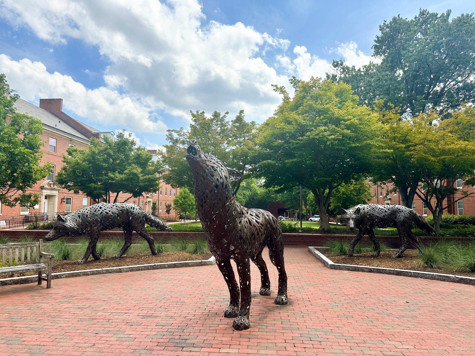 The wolfpack statues on the campus at NC State.