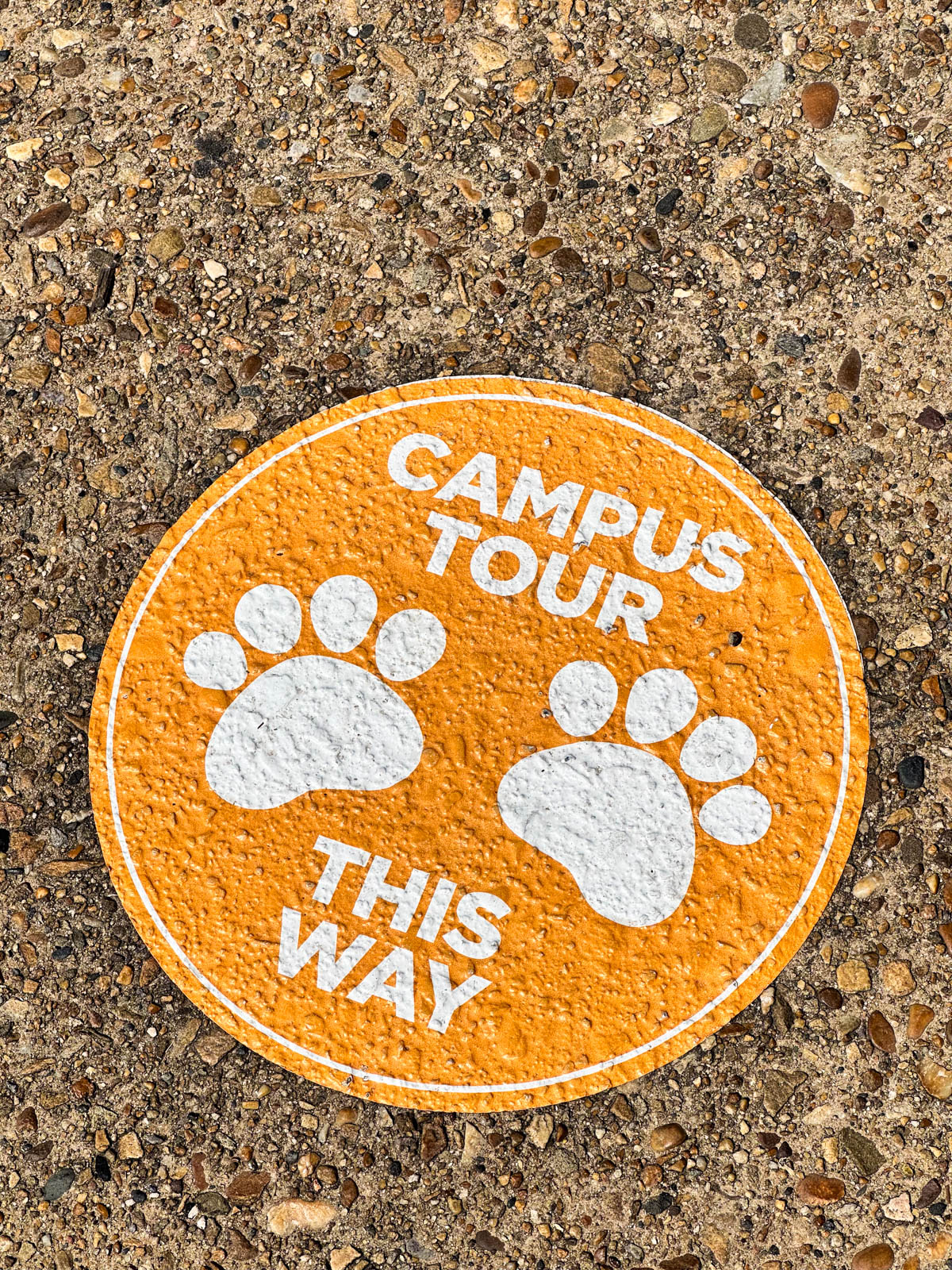 The orange sign with pawprints that leads visitors to the Campus Tour at UT.