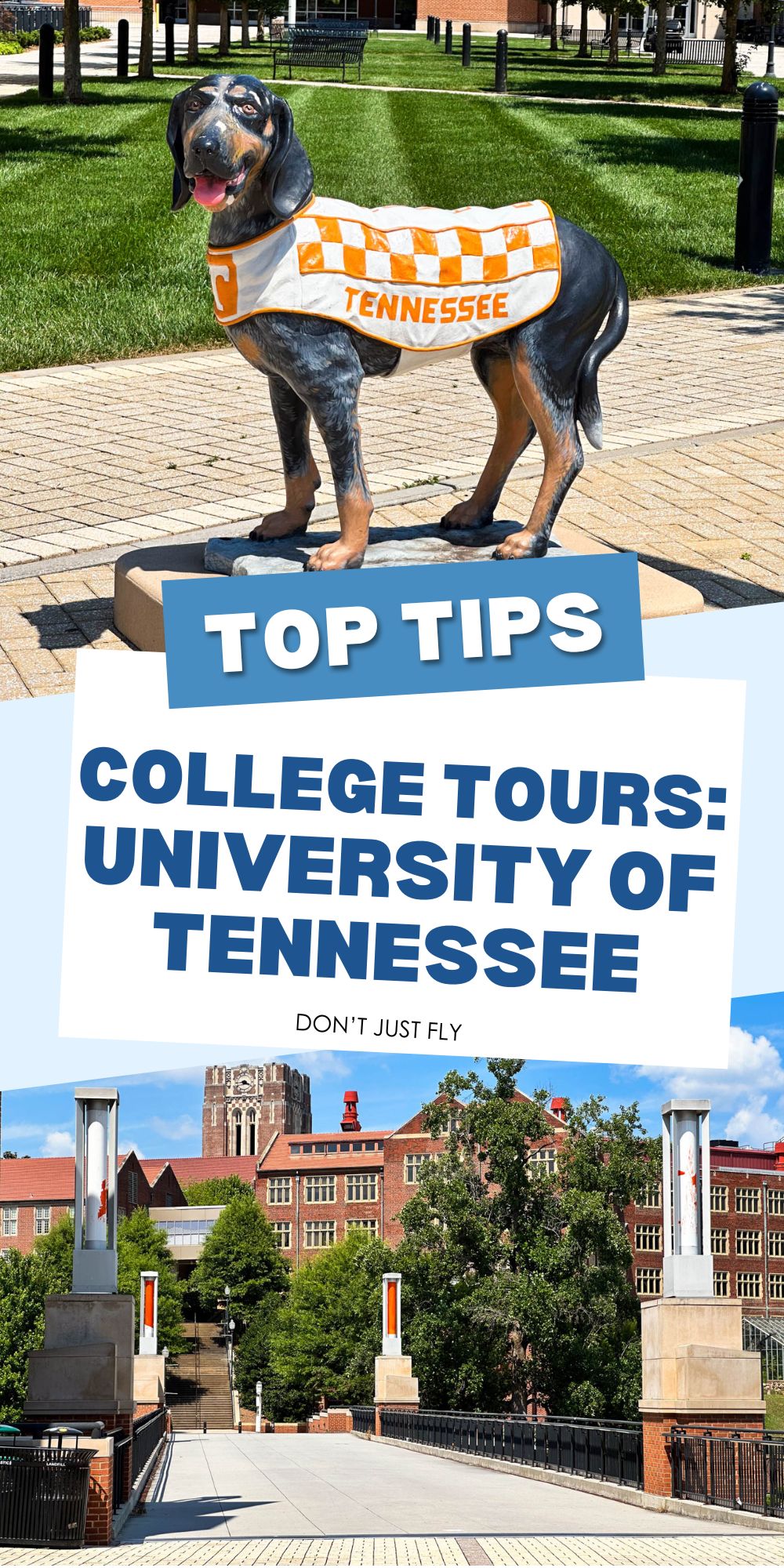 The photo collage shows the UT campus and a photo of the mascot dog.