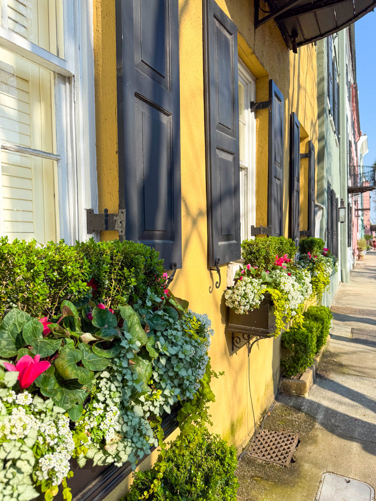The pretty house fronts have flowering window boxes.