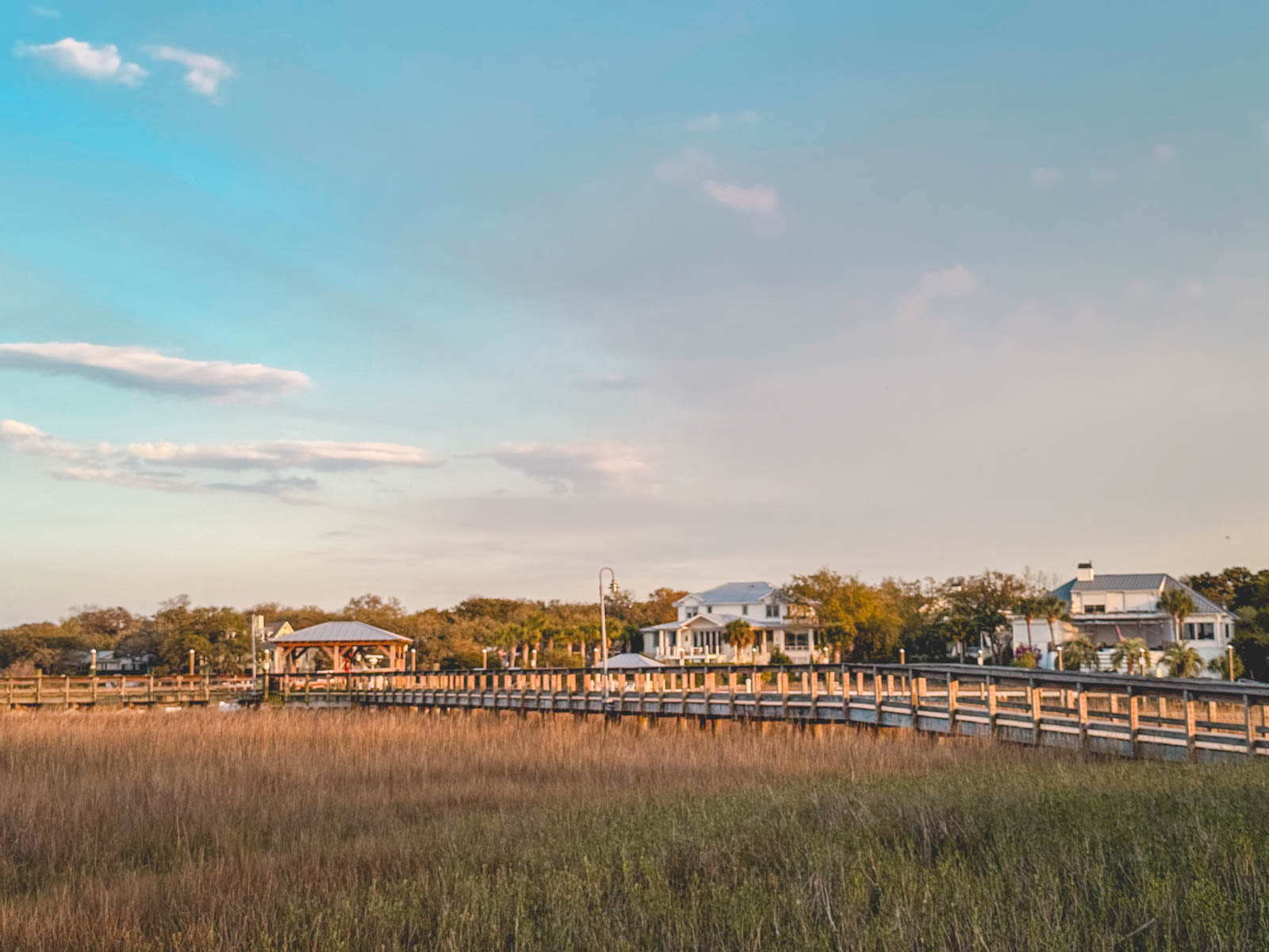 The boardwalk winds through tall grasses near the shore.