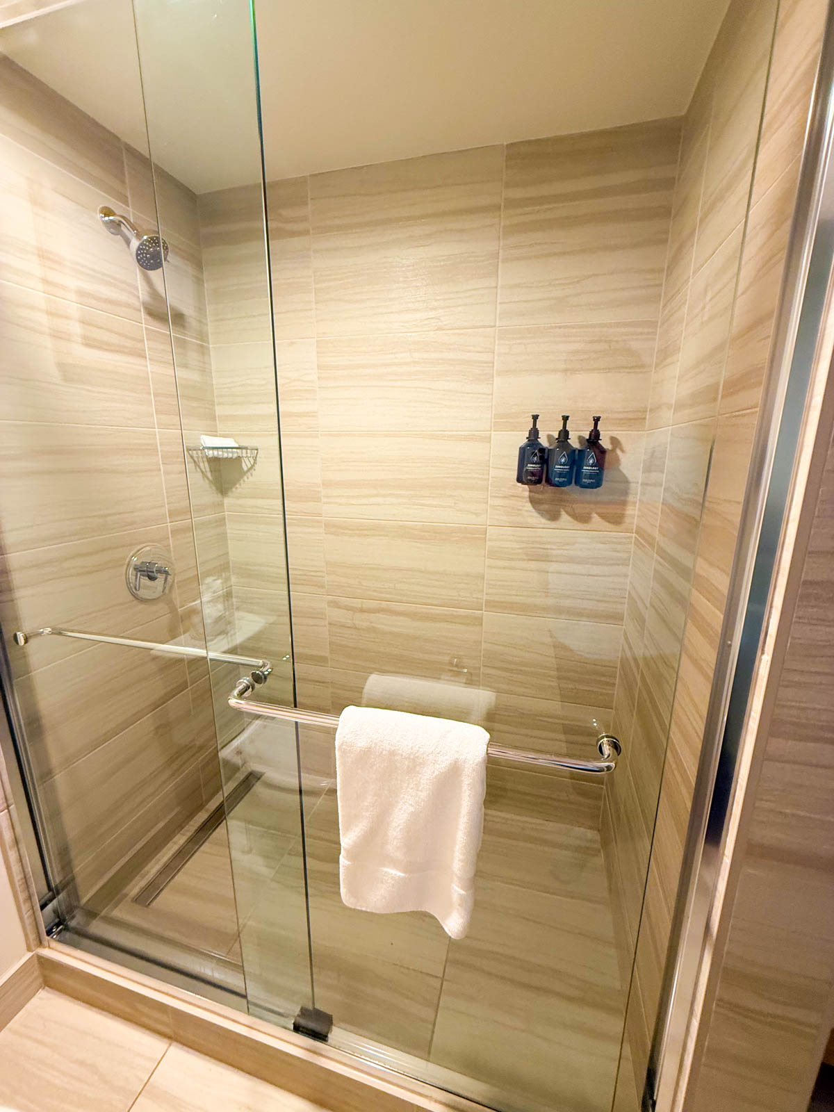 The shower area inside the bathroom.