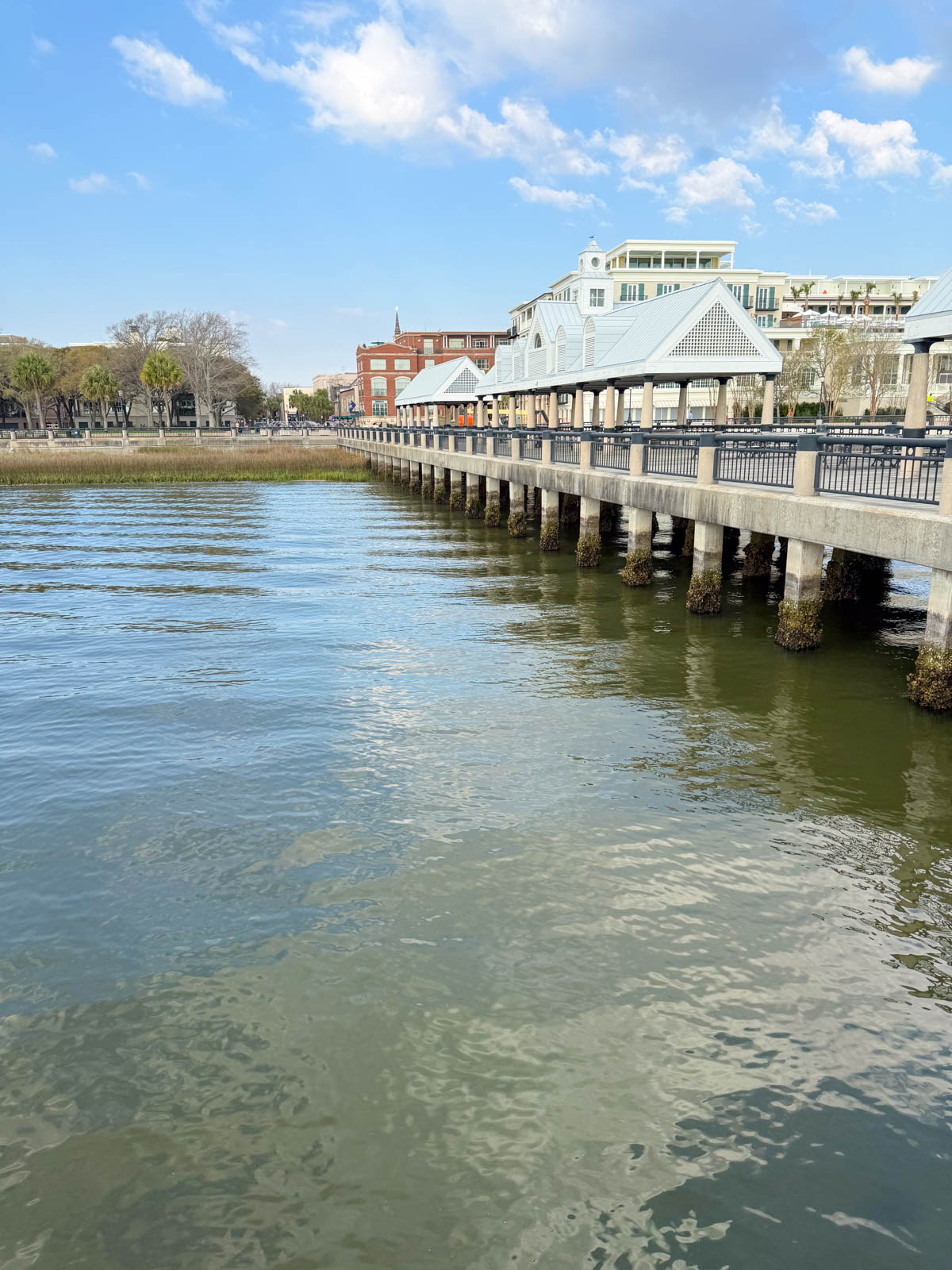 The view looking back to Charleston from the end of the pier at Waterfront Park.