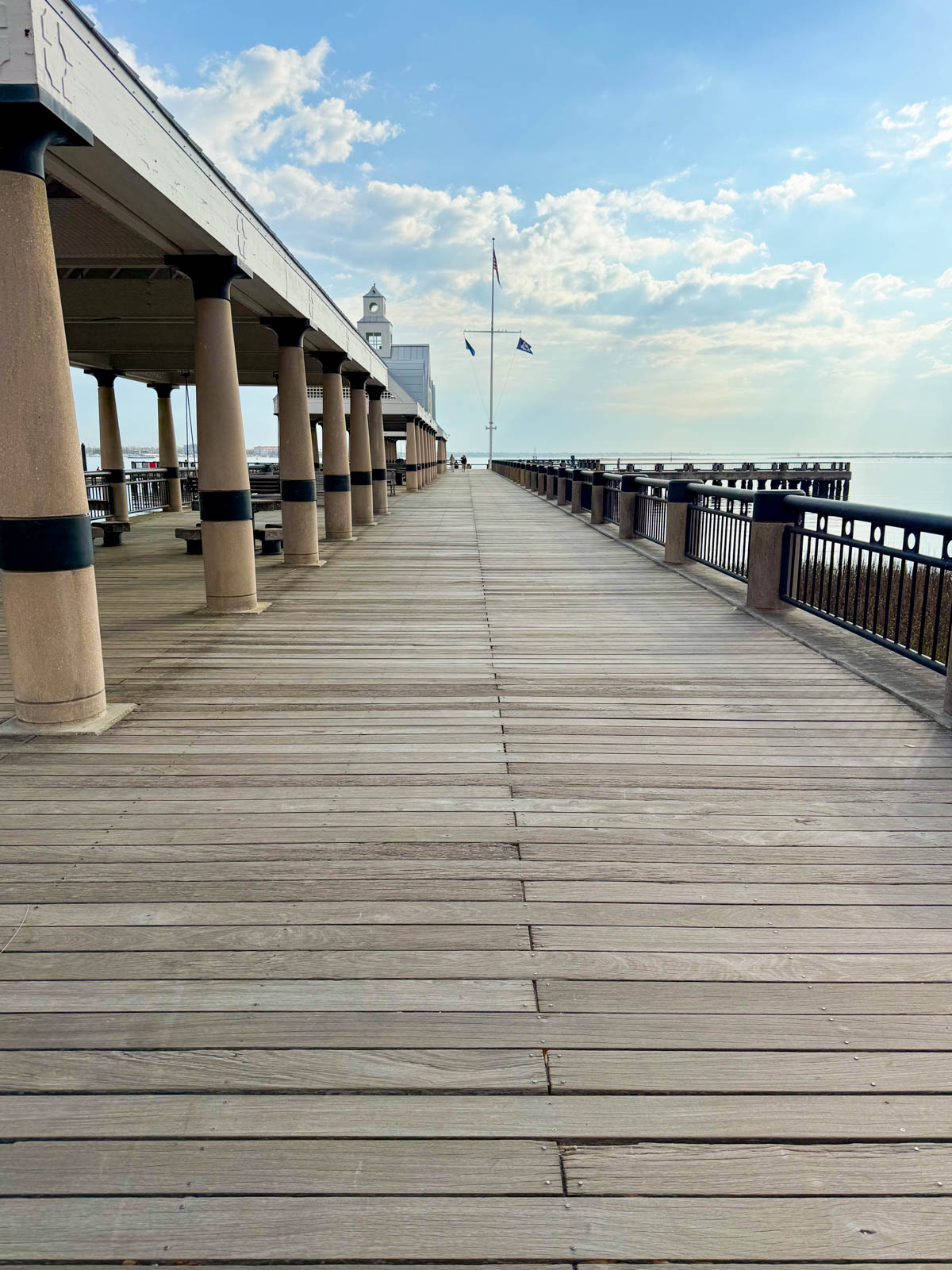 The pier that heads out over the water in Charleston's Waterfront Park.