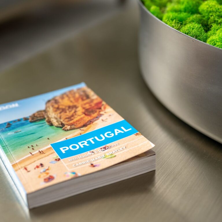 A travel guide to Portugal sits on the table near a plant.